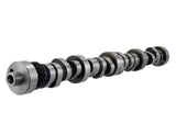 Ford Racing Small Block V-8 Hydraulic Roller Tappet Camshafts - M-6250-F303