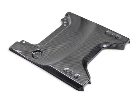 Ford Racing 22-24 Bronco Raptor Carbon Fiver Tailgate Applique - Gloss - M-16600-BG