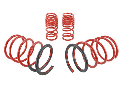 Skunk2 01-05 Honda Civic Lowering Springs (2.25in - 2.00in.) (Set of 4) - 519-05-1570