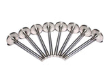 COMP Cams Ss Valves SBC Exh 1.600in 11/3 - 6012-8