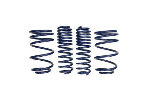 Ford Racing 2007-2014 Mustang Shelby GT500 Springs - M-5300-L