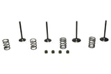 Wiseco 06-11 Suzuki LT-R450 Steel Valve Set - SVKB3406