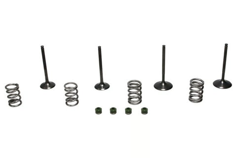 Wiseco 06-11 Suzuki LT-R450 Steel Valve Set - SVKB3406