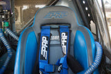 PRP 5.3 Harness- Blue - SB5.3B