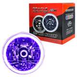 Oracle Pre-Installed Lights 5.75 IN. Sealed Beam - UV/Purple Halo - 6904-007