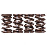 Skunk2 Pro Series Honda/Acura B-Series VTEC XP Valve Spring Set (Dual Springs) - 311-05-7350