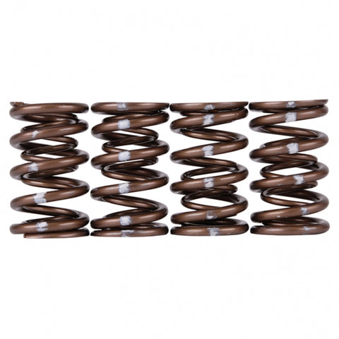 Skunk2 Pro Series Honda/Acura B-Series VTEC XP Valve Spring Set (Dual Springs) - 311-05-7350