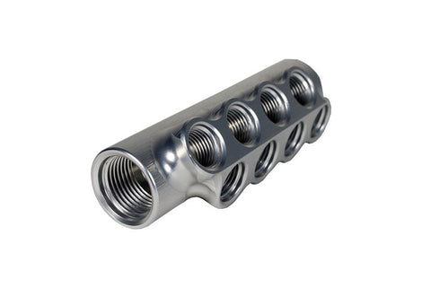 Aeromotive Fuel Distribution Log (10-Ports) (2) -10 AN/(8) -6 AN - 14602