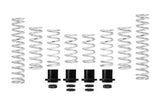 Eibach Pro-UTV 19-20 Polaris RZR XP 1000 Turbo 2-Seat Stage 3 HD Performance Spring System - E85-209-014-03-22
