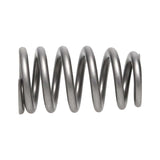 Manley Chrysler Hemi 6.4L NexTek Series High Performance Valve Springs .650 Max Lift - 221439-16