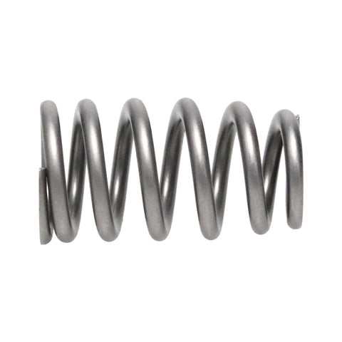 Manley Chrysler Hemi 6.4L NexTek Series High Performance Valve Springs .650 Max Lift - 221439-16