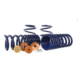Ford Racing 15-22 Mustang Track Lowering Spring Kit - M-5300-YA