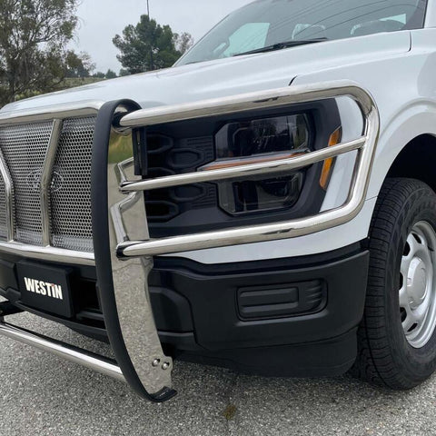 Westin 21-22 Ford F-150 (Excl. Raptor/Platinum) HDX Grille Guard - SS - 57-4060