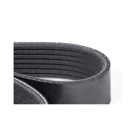 APR 12-18 Audi A7 Quattro 3.0 TFSI Supercharger Belt (1320mm Length) - RS100003
