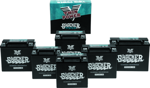 Twin Power YTX-14 Shocker Battery Replaces H-D 65948-00 220 CCA - 781151