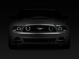 Raxiom 13-14 Ford Mustang GT CCFL Halo Fog Lights (Smoked) - 49177