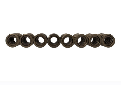 Ford Racing Replacement Valve Springs (TVS-1734) - Set Of 8 - M-6513-17348