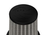 aFe MagnumFLOW Air Filters OER PDS A/F PDS Ford Mustang 94-04 V6 - 11-10010