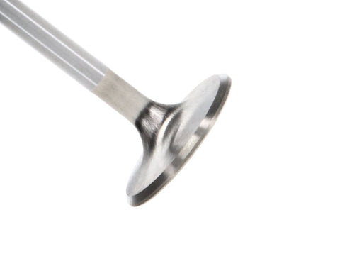 Manley Ford 4.6L DOHC (4 Valve) Triple Groove 37mm Race Master Intake Valves - Single - 11616-1