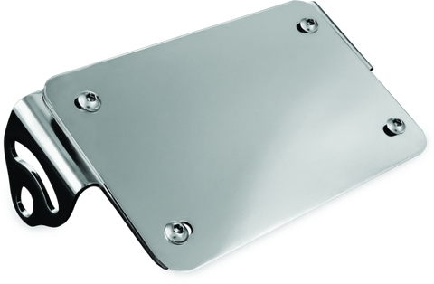 Kuryakyn License Plate Turn Signal & Marker Light Mount Chrome - 3155