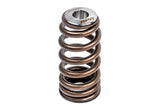 APR 12-16 Porsche Panamera Valve Spring - Single - MS100258