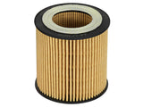 aFe Pro GUARD D2 Oil Filter 06-19 BMW Gas Cars L6-3.0T N54/55 - 4 Pack - 44-LF029-MB
