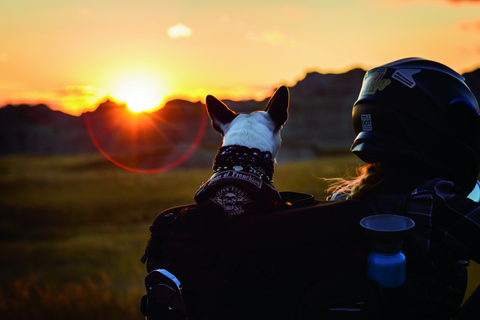 Kuryakyn Grand Pet Palace - 5288