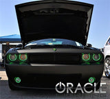 Oracle Dodge Challenger 08-14 LED Fog Halo Kit - White - 1166-001