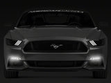 Raxiom 15-17 Ford Mustang Axial Series Switchback Turn Signal Conversion Kit - 390266