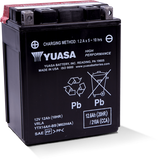 Yuasa YTX14AH-BS High Performance AGM 12-Volt Battery w/Bottle - YUAM62H4A