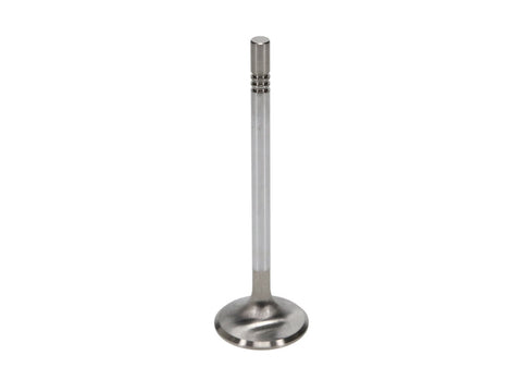 Manley Ford Racing Cylinder Head 4.6L & 5.4L SOHC 36.0mm Race Master Exhaust Valve (Single) - 11637-1