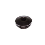 Edelbrock ALUMINUM PORT PLUG, -12AN - 549200-1