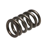 Manley Dodge SRT-4 16pc Valve Springs - 22190-16