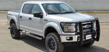 Go Rhino 15-17 Ford F-150 (Excl. ACC Models) 3000 Series StepGuard Center Grille + Brsh Grd - Chrome - 3295MC