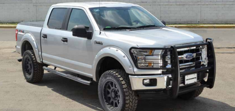 Go Rhino 15-17 Ford F-150 (Excl. ACC Models) 3000 Series StepGuard Center Grille + Brsh Grd - Chrome - 3295MC