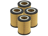 aFe Pro GUARD D2 Oil Filter 96-06 BMW Gas Cars L6 (4 Pack) - 44-LF022-MB