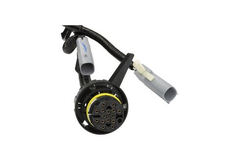 Ford Racing 5.0L Coyote Engine Harness for Automatic Transmission - M-12508-M50A