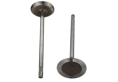 Ford Racing Coyote 5.2L Lightweight Intake Valve - Set of 8 - M-6507-M52