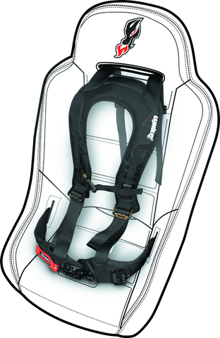 DragonFire Racing Harness Evo- Black - 520761