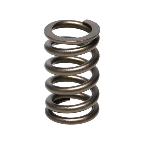 Manley 90-06 Mitsubishi (4G63-4G63T) 16pc Valve Springs (1.100/.775) - 22125-16