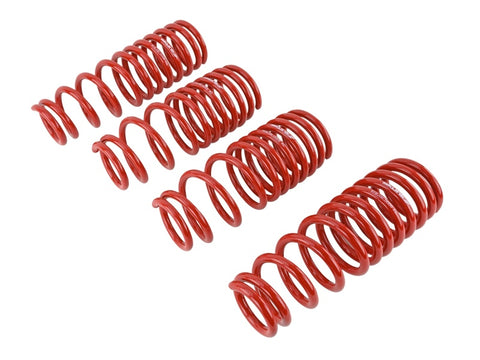 Skunk2 94-01 Acura Integra Lowering Springs (2.50in - 2.25in.) (Set of 4) - 519-05-1560