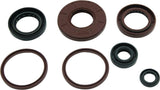 QuadBoss Oil Seal Set - 564643