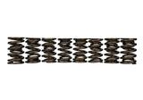 Ford Racing Replacement Valve Springs (TVS-1734) - Set Of 8 - M-6513-17348