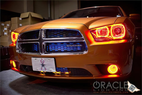 Oracle Dodge Charger 11-12 LED Fog Halo Kit - White - 1119-001