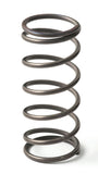 GFB EX50 9psi Wastegate Spring (Middle) - 7109