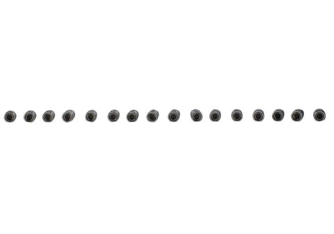 Ford Racing 302/351W Hydraulic Roller Cam Lifters (Set of 16) - M-6500-R302