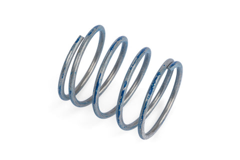 APR 76-83 Porsche 911 R1 DV Higher Pressure Spring - Blue - Z1001791