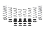 Eibach 18-20 Polaris RZR XP 4 Turbo (Fox Pro-UTV) Stage 2 Performance Spring System Set Of 8 Springs - E85-209-012-05-22