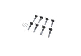 Ford Racing Boss 5.0L Block Plug & Dowel Kit - M-6026-BOSS50