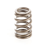 Omix Valve Spring- 87-97 YJ/XJ/MJ/ZJ/SJ - 17402.10